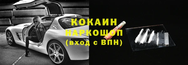 индика Алексин