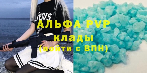 индика Алексин