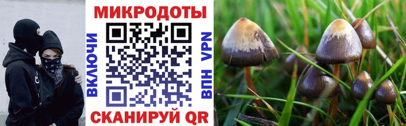 Псилоцибиновые грибы MAGIC MUSHROOMS  Лахденпохья 